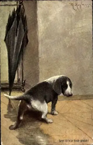 Künstler Ak Kuglmayr, M., Jetzt ist's ja doch gleich, Hund pinkelt in Regenpfütze, Regenschirm,Humor