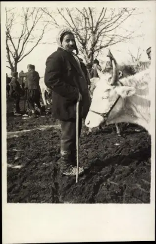 Foto Ak Bauer, Feld, Kuh