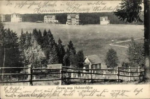 Ak Hahnenklee Goslar im Harz,  Häuserreihe am Waldrand, Wiese und Holzzaun im Vordergrund
