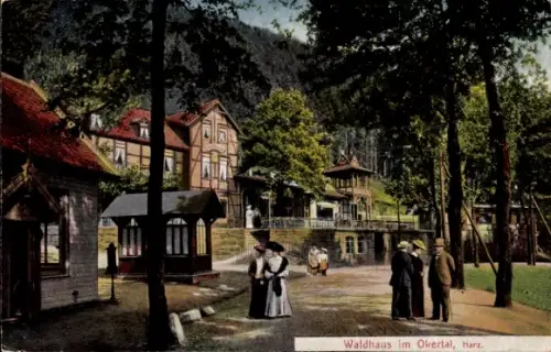 Ak Oker Goslar am Harz, Waldhaus im Okertal