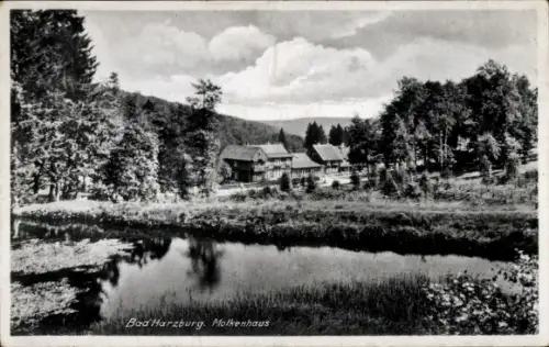Ak Bad Harzburg am Harz,  Molkenhaus