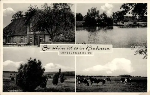 Ak Bahnsen Suderburg in Niedersachsen, Gasthaus Dehrmann, Dorfteich, Heideidyll, Kuhweide