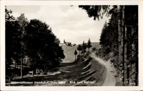 Ak Herschdorf Großbreitenbach in Thüringen, Blick vom Mühltal