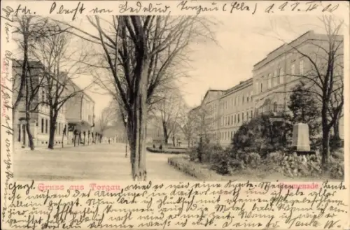 Ak Torgau an der Elbe, Promenade
