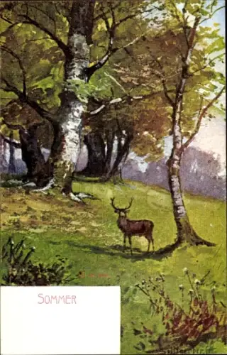 Künstler Ak Hirsch, Wald, Sommer