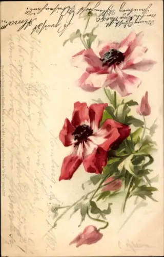 Künstler Litho Klein, Catharina, rote Blüten, Anemonen