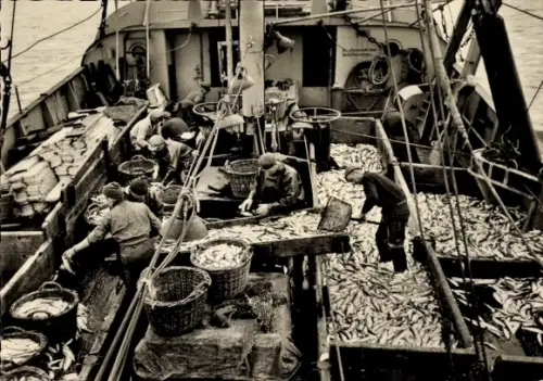Ak An Deck eines Fischdampfers nach dem Fang