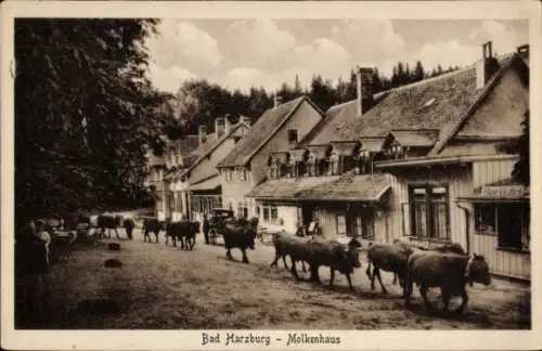 Ak Bad Harzburg am Harz,  Molkenhaus