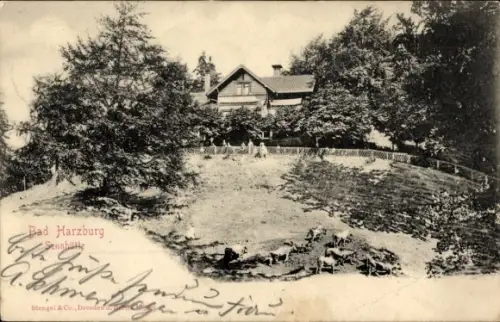 Ak Bad Harzburg am Harz, Sennhütte