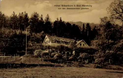 Ak Bad Harzburg am Harz, Hotel Silberborn
