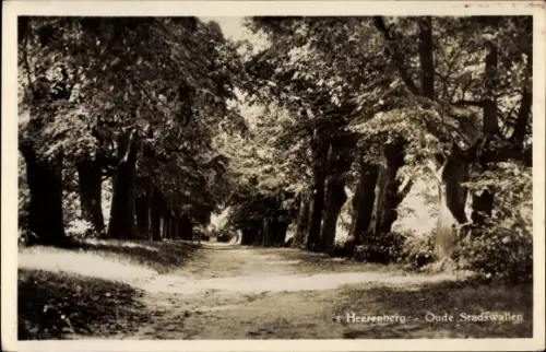 Ak 's Heerenberg Montferland Gelderland Niederlande, Oude Stadswallen