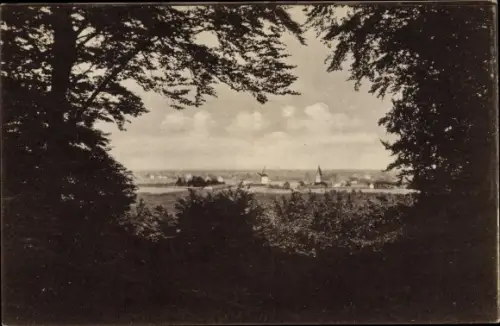 Ak Zeddam Gelderland Niederlande, Panorama, Montferland, Durchblick