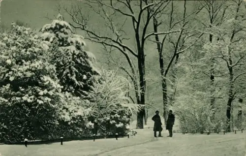 Ak Düsseldorf am Rhein, Hofgarten im Schnee, Winter