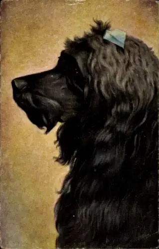 Ak Hund mit Schleife im Fell, Pudel