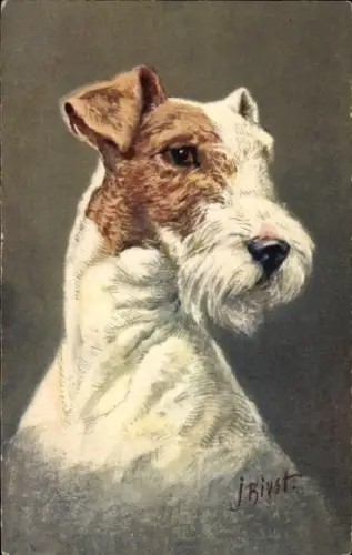 Künstler Ak Hundeportrait, Fox Terrier