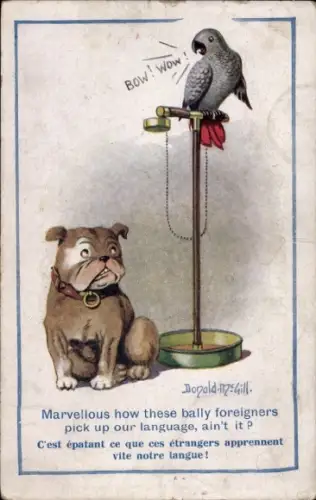 Künstler Ak McGill, Donald, Papagei macht Hundebellen nach, Bulldogge