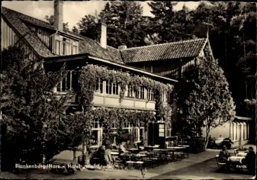 Ak Blankenburg am Harz, Hotel Waldfrieden