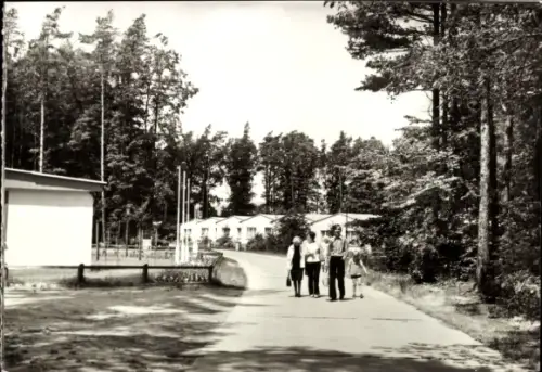 Ak Koserow an der Ostsee Usedom, Forstferienobjekt Damerow, Wegpartie, Bungalows, Familie