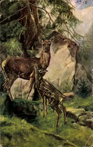 Ak Reh und Jungtier, Baum, Felsen