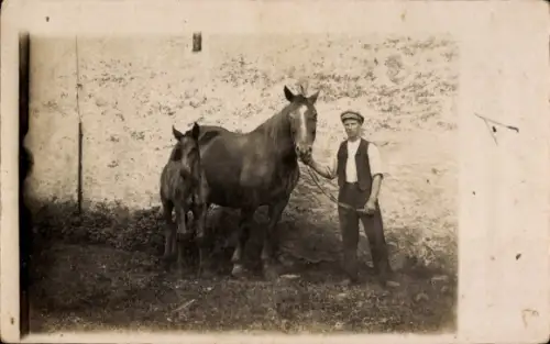 Foto Ak Pferd mit Fohlen, Mann