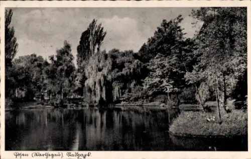 Ak Poznań Posen, Stadtpark