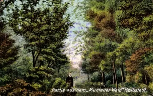 Ak Halbstadt Ukraine, Muntauer Wald