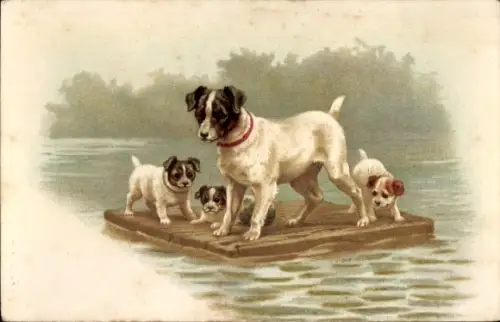 Litho Hunde auf einem Floß, Welpen