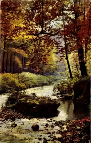 Ak Herbst, Fluss, Wald