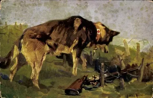 Künstler Ak v. d. Heide, J. W., Sanitätshund entdeckt in Wolfsgrube einen Verwundeten