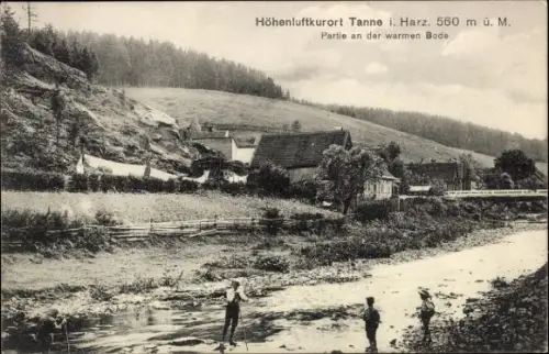 Ak Tanne im Harz, Höhenluftkurort  560 m ü. M., Partie an der warmen Bode