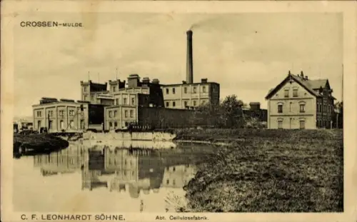 Ak Crossen an der Mulde Zwickau Sachsen, Zellulosefabrik C. F. Leonhard Söhne