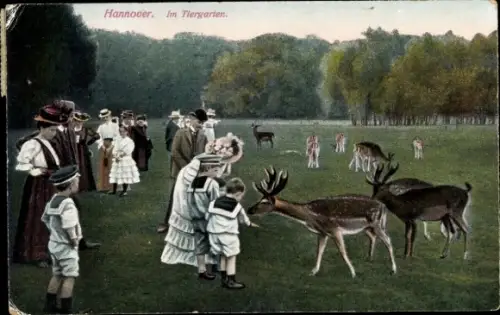 Ak Hannover in Niedersachsen, Tiergarten