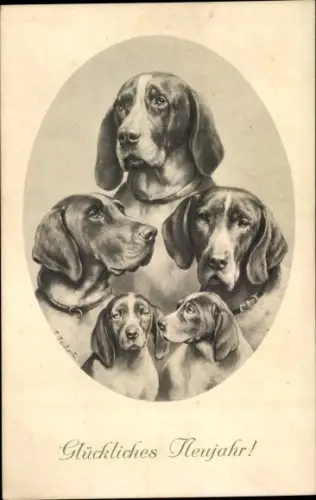 Künstler Ak Glückwunsch Neujahr, Hunde, Tierportrait