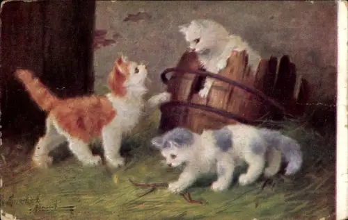 Künstler Ak Drei Katzen, Holzfass