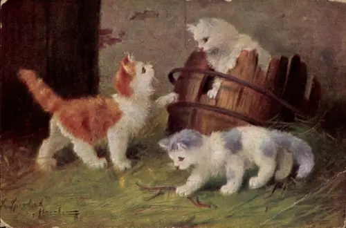 Künstler Ak Drei Katzen, Holzfass