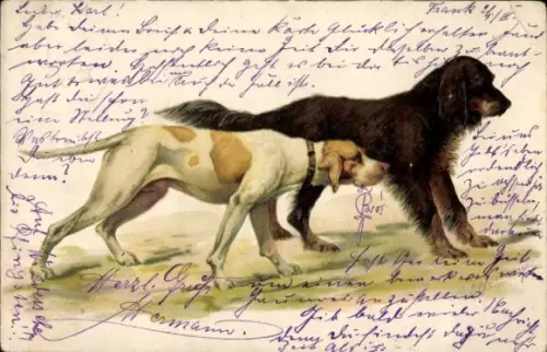 Präge Ak Zwei Hunde, Tierportrait