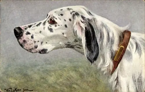 Künstler Ak Luker, English Setter, Hund