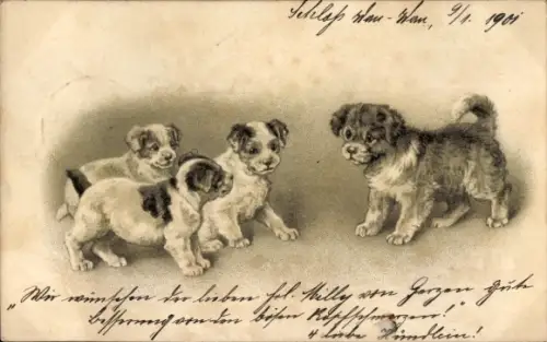Künstler Ak Vier Welpen, Tierportrait