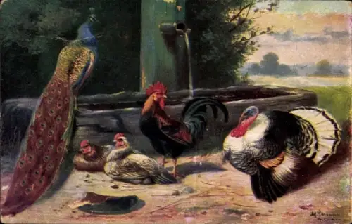 Künstler Ak Geflügelhof, Hühner, Pfau, Truthahn