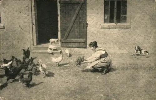 Ak Mädchen füttert Hühner, Bauernhof