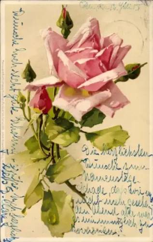 Künstler Litho Klein, Catharina, Rosenblüte, Tautropfen, Meissner & Buch 1306