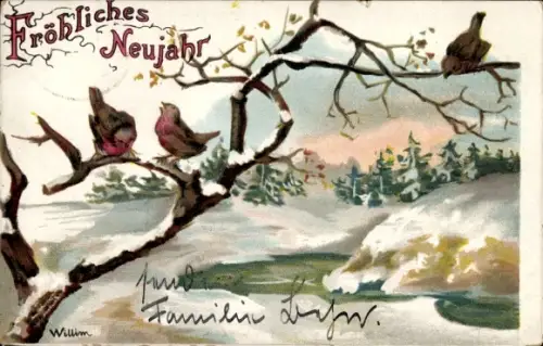 Künstler Ak Glückwunsch Neujahr, Winterlandschaft, Vögel