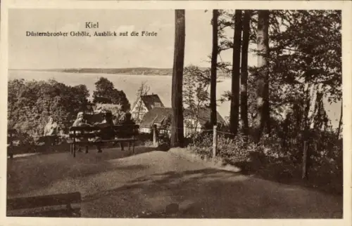 Ak Düsternbrook Kiel, Ausblick auf die Förde, Düsternbrooker Gehölz, Menschen auf Bank