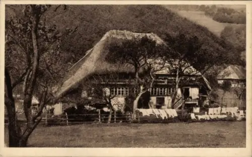 Ak Schwarzwald, Schwarzwaldhaus