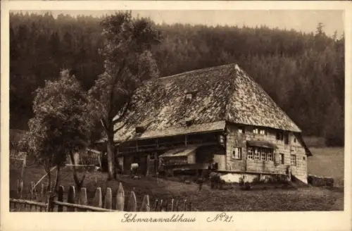 Ak Schwarzwaldhaus No. 21, Schwarzwald