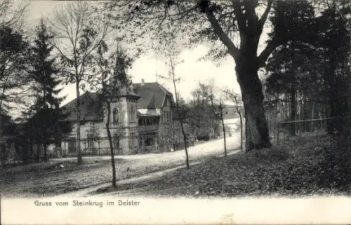 Ak Steinkrug Wennigsen Deister, Pension Steinkrug, L. Tanner, Straße