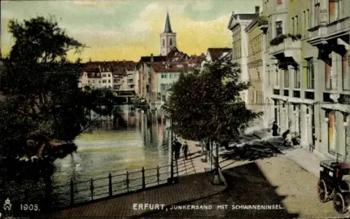 Ak Erfurt in Thüringen, Junkersand, Schwaneninsel