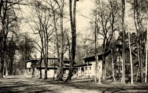 Ak Langewiesen Ilmenau am Thüringer Wald,  Felsenkeller