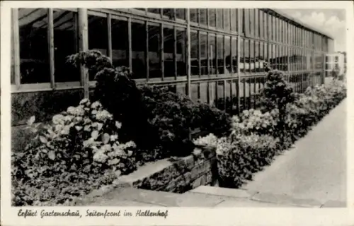 Ak Erfurt in Thüringen,  Gartenschau, Seitenfront im Hallenhof, Gewächshaus