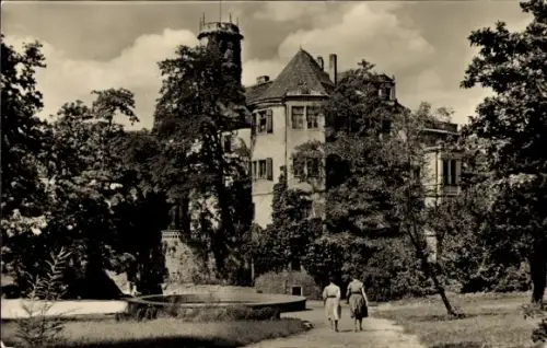 Ak Droyssig Droyßig im Burgenlandkreis, Volkspark und Schloss